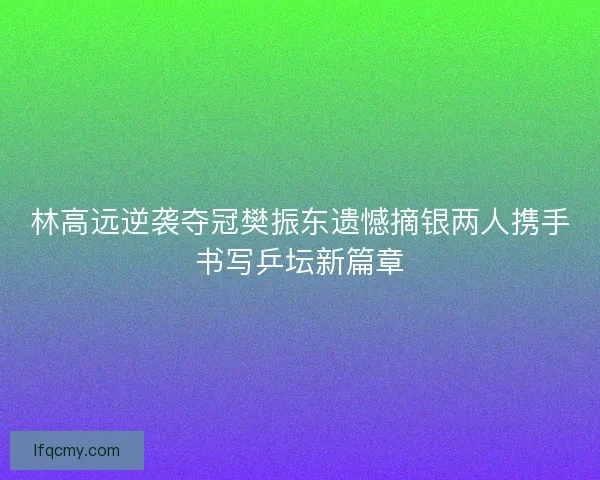 林高远逆袭夺冠樊振东遗憾摘银两人携手书写乒坛新篇章